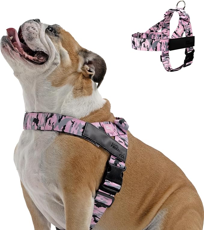 Dog Friendly Co. Dog Harness | Chafe Resistant Webbing, Adjustable Neck & Chest, and Heavy Duty D-Ring | Sturdy, Comfortable, Easy to Use