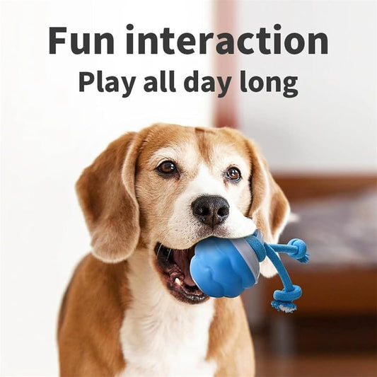 Dog Toy, 2026 New Dog Interactive Toy, with Touch Motion Activated, USB Rechargeable Automatic, New Remote Control, for Small, Medium Dog, for Indoor/Outdoor Play（Random Color）
