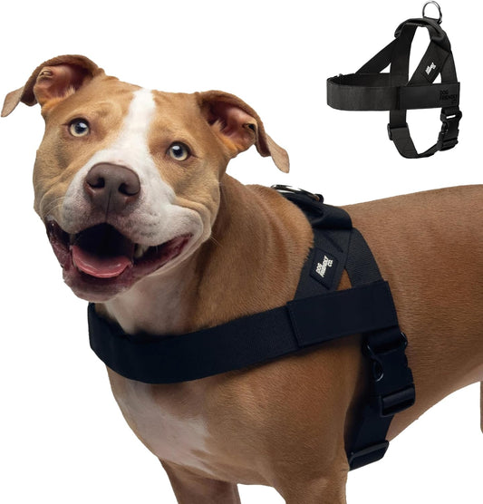 Dog Friendly Co. Dog Harness | Chafe Resistant Webbing, Adjustable Neck & Chest, and Heavy Duty D-Ring | Sturdy, Comfortable, Easy to Use