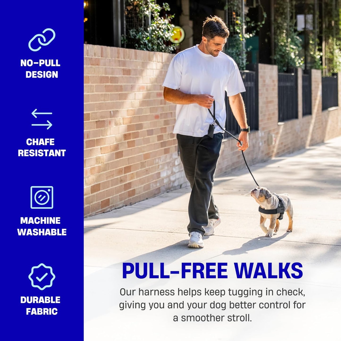 Dog Friendly Co. Dog Harness | Chafe Resistant Webbing, Adjustable Neck & Chest, and Heavy Duty D-Ring | Sturdy, Comfortable, Easy to Use