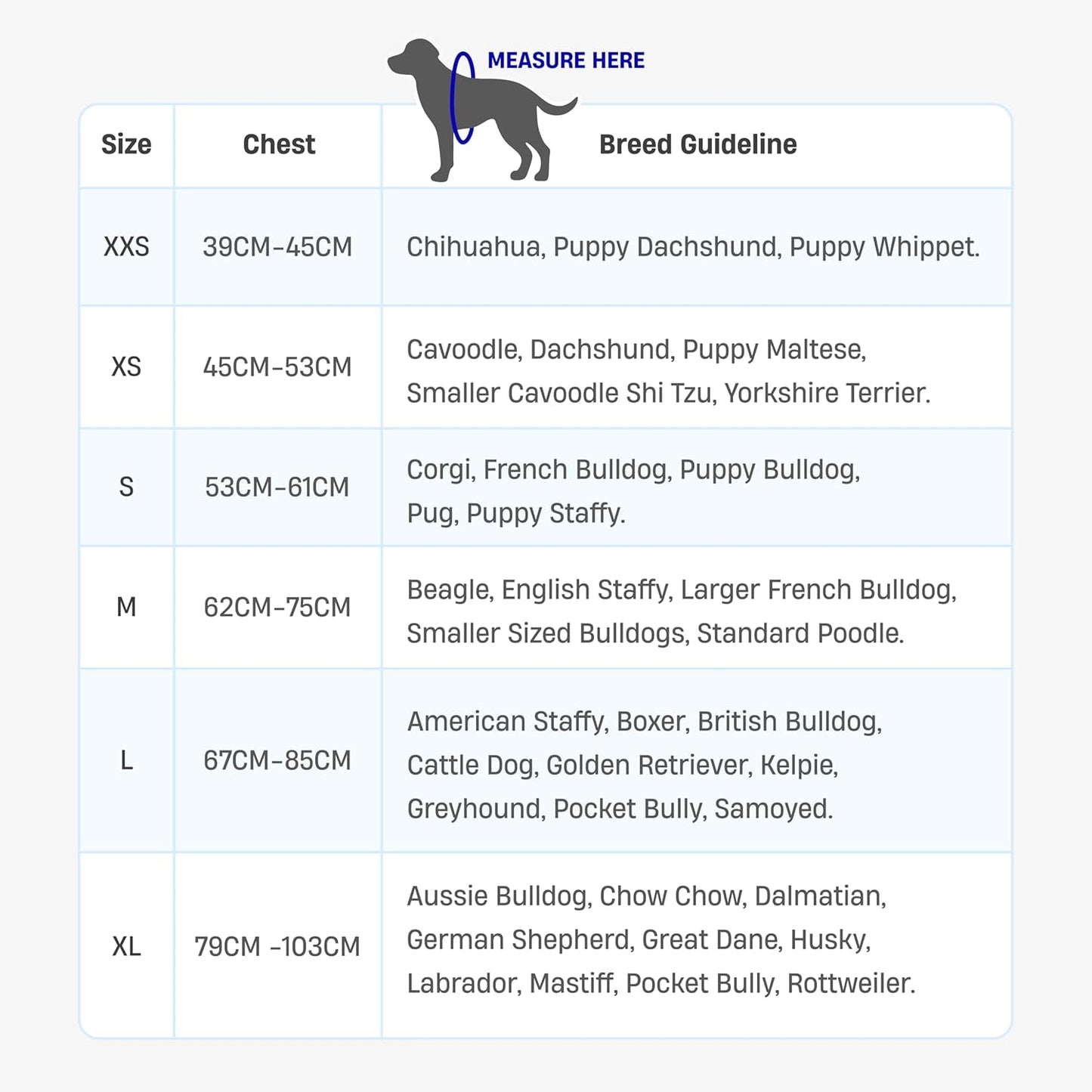 Dog Friendly Co. Dog Harness | Chafe Resistant Webbing, Adjustable Neck & Chest, and Heavy Duty D-Ring | Sturdy, Comfortable, Easy to Use