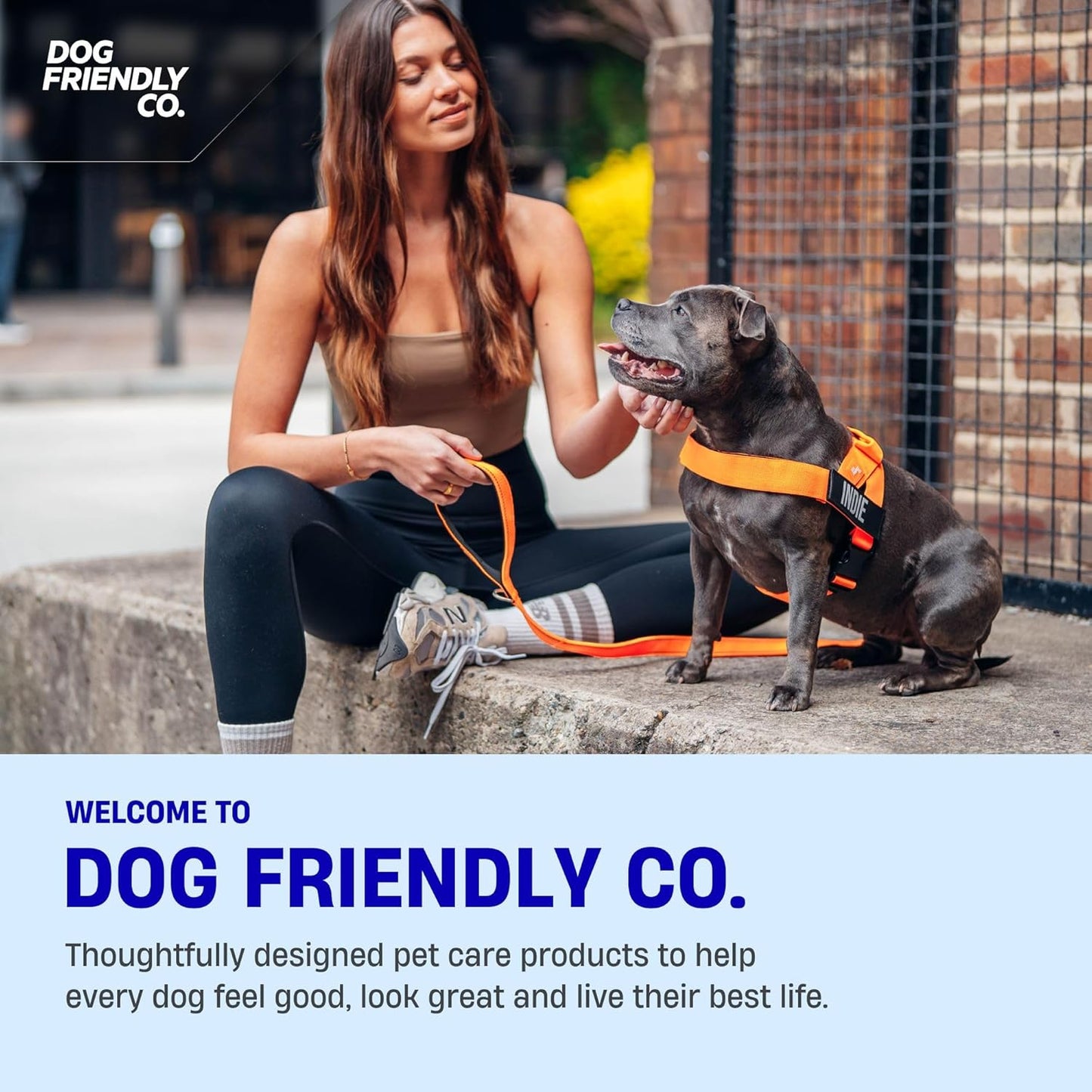 Dog Friendly Co. Dog Harness | Chafe Resistant Webbing, Adjustable Neck & Chest, and Heavy Duty D-Ring | Sturdy, Comfortable, Easy to Use