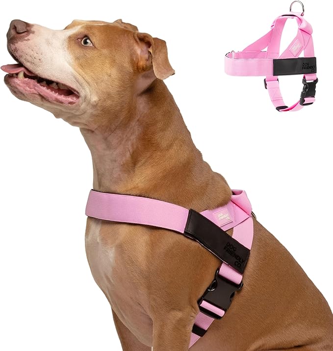 Dog Friendly Co. Dog Harness | Chafe Resistant Webbing, Adjustable Neck & Chest, and Heavy Duty D-Ring | Sturdy, Comfortable, Easy to Use
