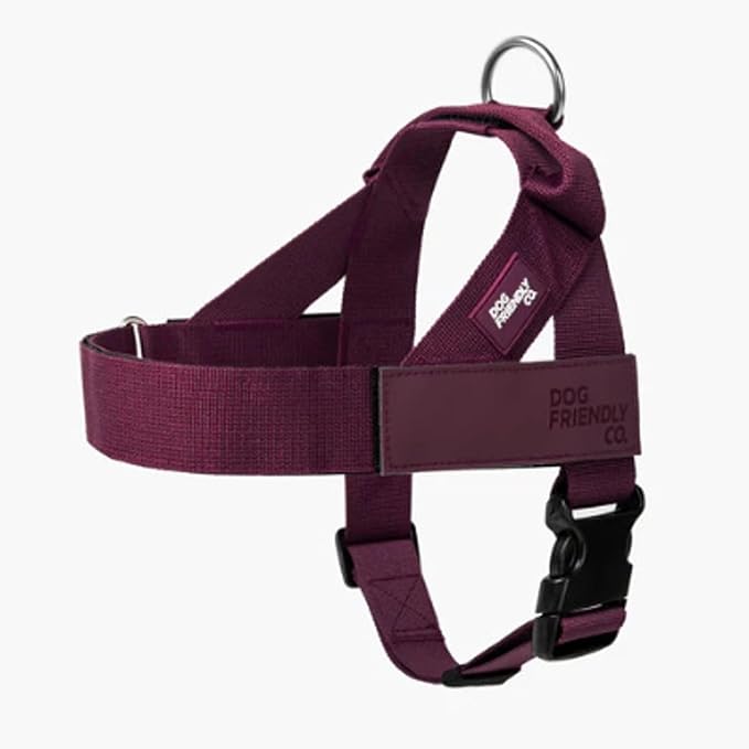 Dog Friendly Co. Dog Harness | Chafe Resistant Webbing, Adjustable Neck & Chest, and Heavy Duty D-Ring | Sturdy, Comfortable, Easy to Use