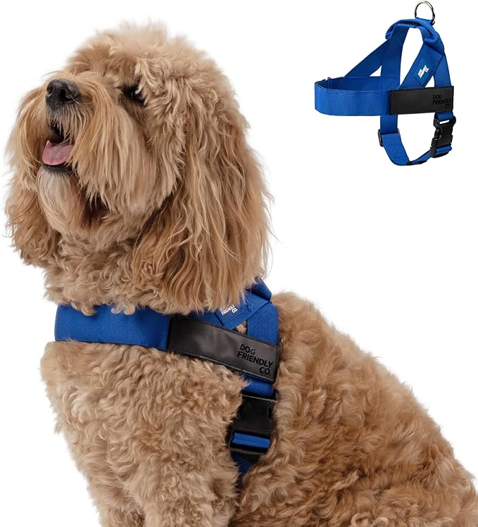 Dog Friendly Co. Dog Harness | Chafe Resistant Webbing, Adjustable Neck & Chest, and Heavy Duty D-Ring | Sturdy, Comfortable, Easy to Use