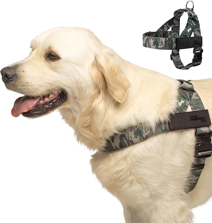 Dog Friendly Co. Dog Harness | Chafe Resistant Webbing, Adjustable Neck & Chest, and Heavy Duty D-Ring | Sturdy, Comfortable, Easy to Use