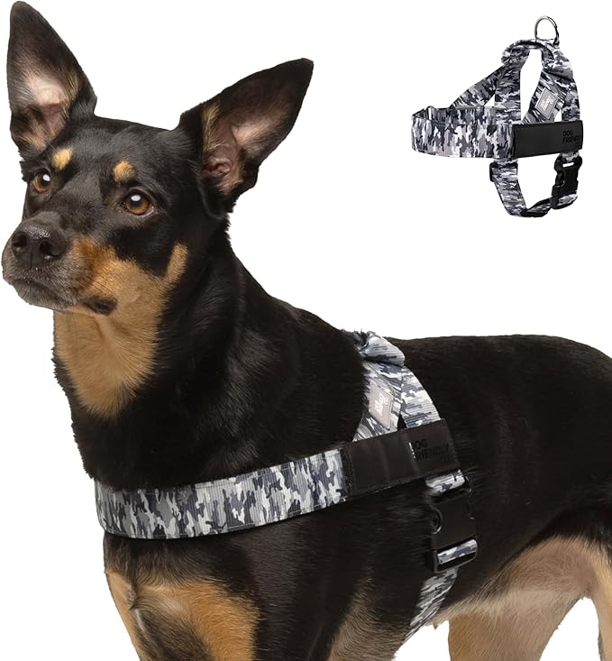 Dog Friendly Co. Dog Harness | Chafe Resistant Webbing, Adjustable Neck & Chest, and Heavy Duty D-Ring | Sturdy, Comfortable, Easy to Use