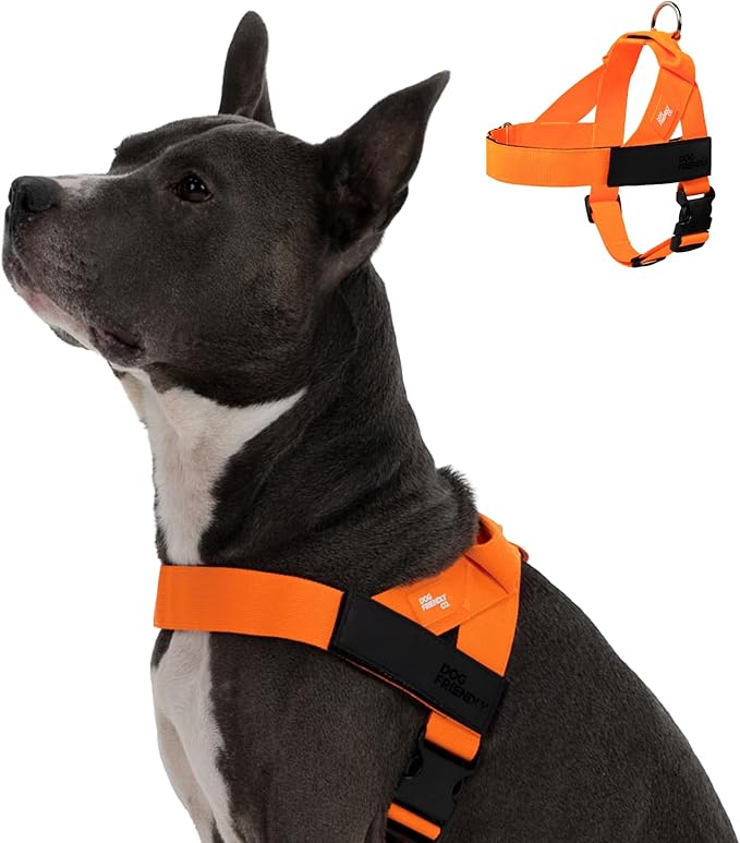 Dog Friendly Co. Dog Harness | Chafe Resistant Webbing, Adjustable Neck & Chest, and Heavy Duty D-Ring | Sturdy, Comfortable, Easy to Use