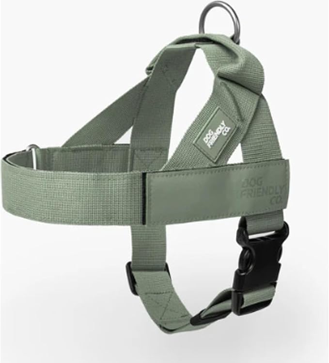 Dog Friendly Co. Dog Harness | Chafe Resistant Webbing, Adjustable Neck & Chest, and Heavy Duty D-Ring | Sturdy, Comfortable, Easy to Use