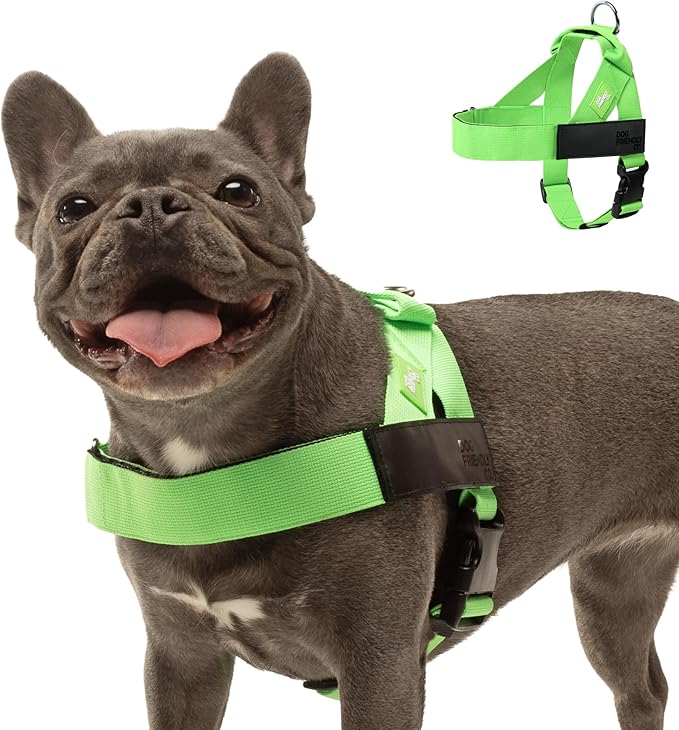 Dog Friendly Co. Dog Harness | Chafe Resistant Webbing, Adjustable Neck & Chest, and Heavy Duty D-Ring | Sturdy, Comfortable, Easy to Use
